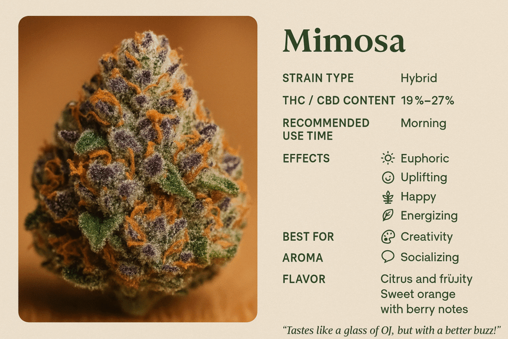 Weed Club Pattaya Mimosa