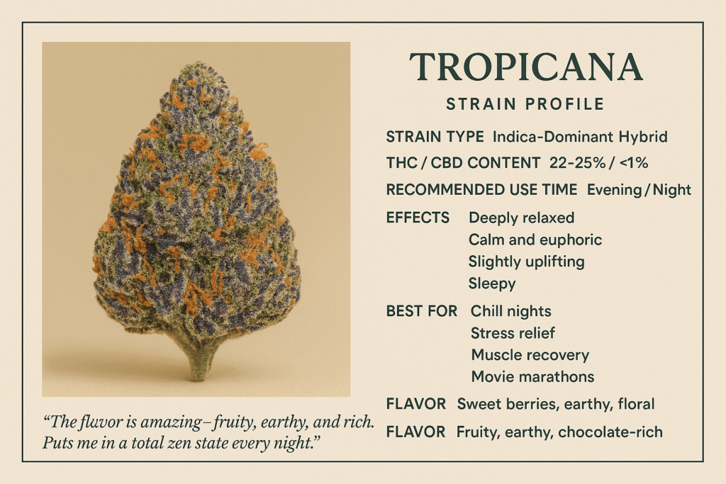 Weed Club Pattaya Tropicana